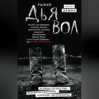 Обложка книги «Рыжий дьявол»