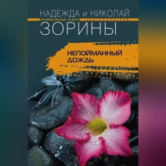 Обложка книги «Непойманный дождь»