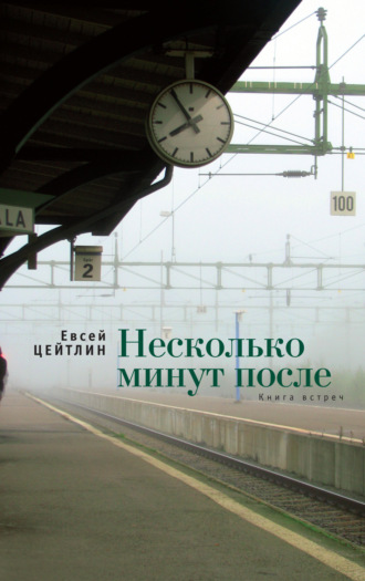 Евсей Цейтлин. Несколько минут после. Книга встреч