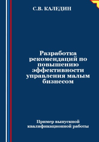 Обложка книги «Разработка рекомендаций по повышению эффективности управления малым бизнесом»