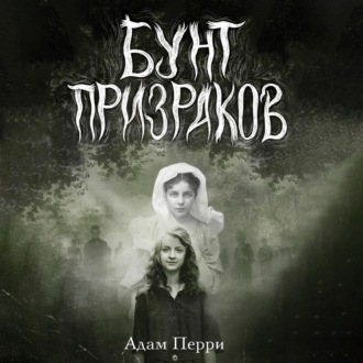 Обложка книги «Бунт призраков»