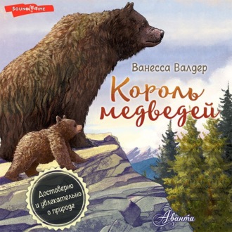 Обложка книги «Король медведей»