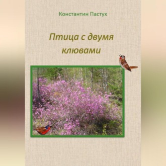 Обложка книги «Птица с двумя клювами»