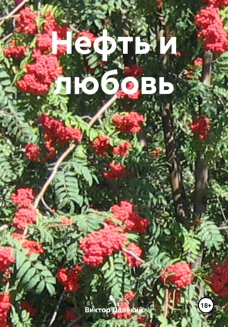 Обложка книги «Нефть и любовь»