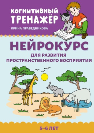 Обложка книги «Нейрокурс для развития пространственного восприятия. 5–6 лет»