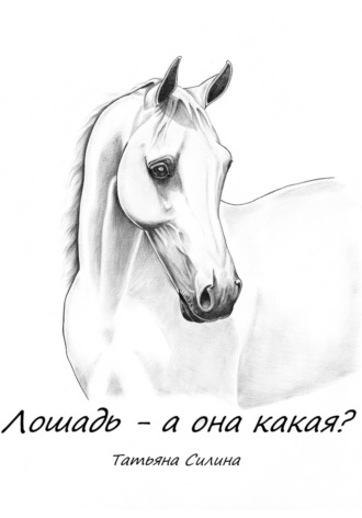 Обложка книги «Лошадь – а она какая? Часть первая»