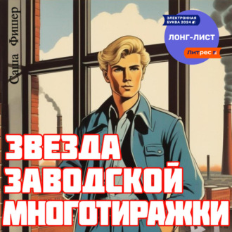 Обложка книги «Звезда заводской многотиражки»