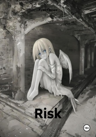 Обложка книги «Risk»