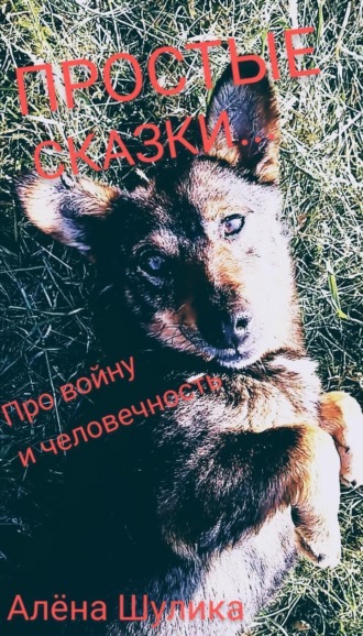 Алена Владимировна Шулика. Я русский, моя национальность – человек. (простые сказки)