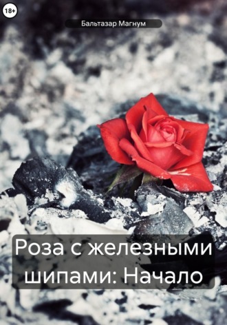 Обложка книги «Роза с железными шипами: Начало»