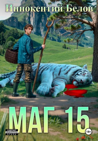 Обложка книги «Маг 15»