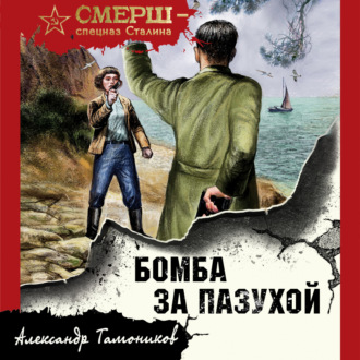 Обложка книги «Бомба за пазухой»