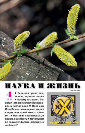 Обложка книги «Наука и жизнь №04/2024»