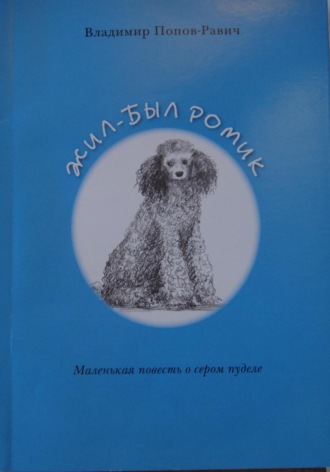 Обложка книги «Жил-был Ромик»