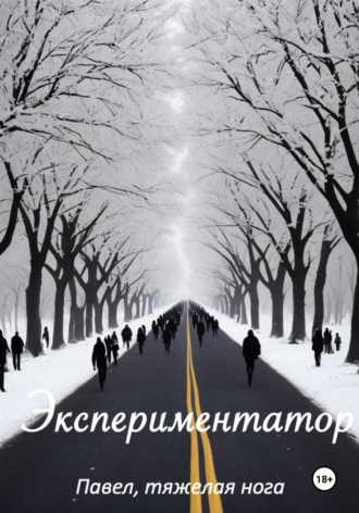 Обложка книги «Экспериментатор»