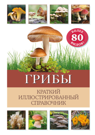 Обложка книги «Грибы. Краткий иллюстрированный справочник»