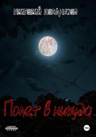 Обложка книги «Полет в никуда»