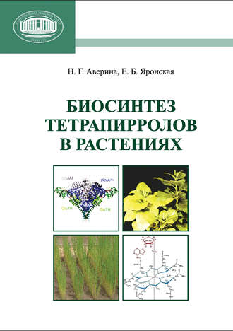 Обложка книги «Биосинтез тетрапирролов в растениях»