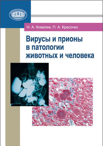 Обложка книги «Вирусы и прионы в патологии животных и человека»