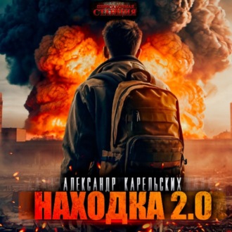 Обложка книги «Находка 2.0»