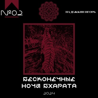 Обложка книги «Бесконечные ночи Бхарата»