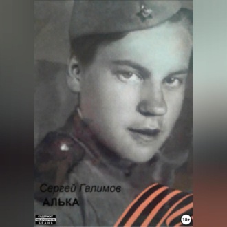 Обложка книги «Алька»