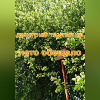 Обложка книги «Лето обещало»