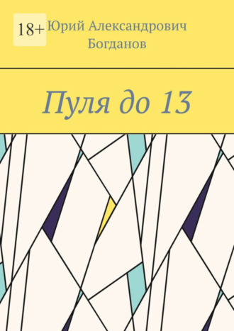 Обложка книги «Пуля до 13»