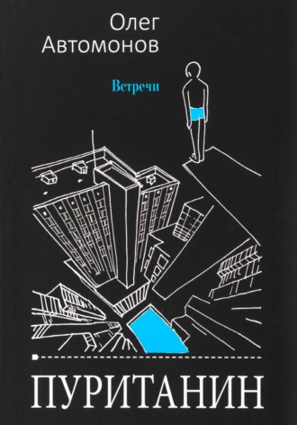 Обложка книги «Пуританин»