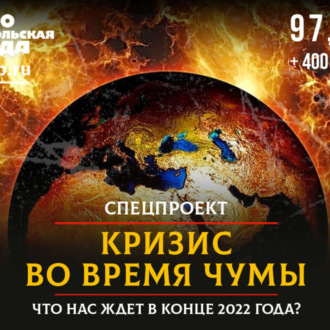 Обложка книги «Кризис во время чумы: что нас ждет в конце года»