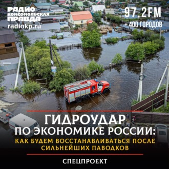 Обложка книги «Гидроудар по экономике России: как будем восстанавливаться после сильнейших паводков»