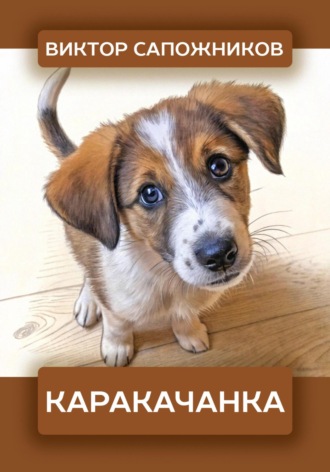 Обложка книги «Каракачанка»