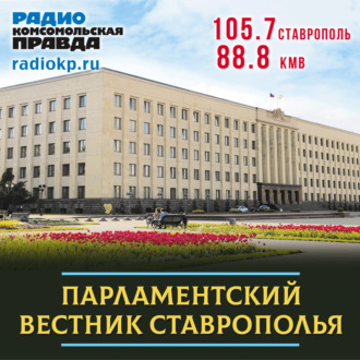 Обложка книги «240 детей-сирот смогут получить жильё в 2024 году на Ставрополье»