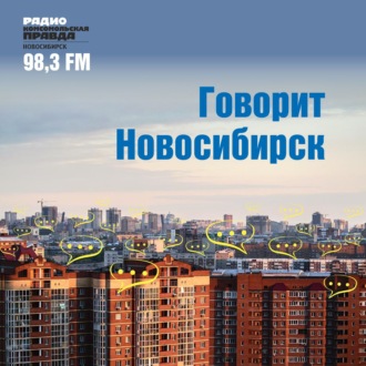 Обложка книги «Власти намерены вывозить брошенные машины из новосибирских дворов»