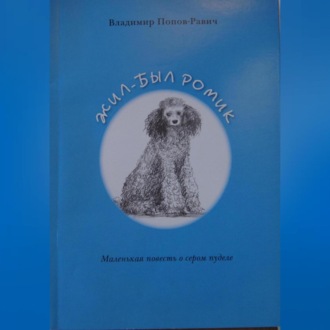 Обложка книги «Жил-был Ромик»
