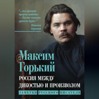 Обложка книги «Россия между дикостью и произволом. Заметки русского писателя»