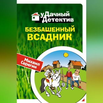 Обложка книги «Безбашенный всадник»