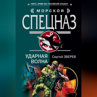 Обложка книги «Ударная волна»