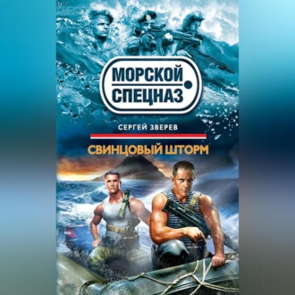Обложка книги «Свинцовый шторм»