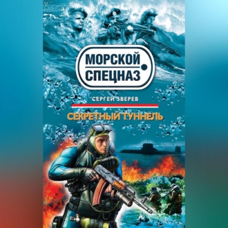 Обложка книги «Секретный туннель»
