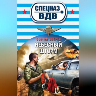 Обложка книги «Небесный шторм»