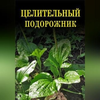 Обложка книги «Целительный подорожник»