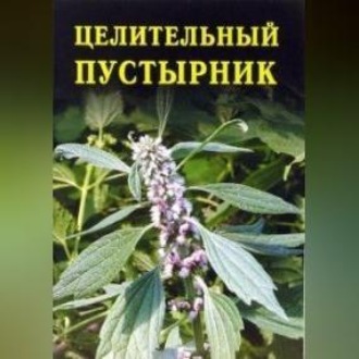 Обложка книги «Целительный пустырник»