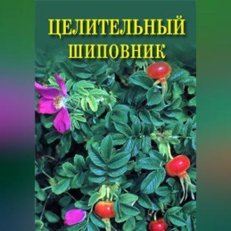 Обложка книги «Целительный шиповник»