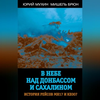 Обложка книги «В небе над Донбассом и Сахалином. История рейсов МН17 и КЕ007»
