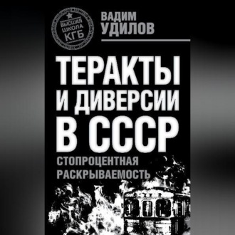 Обложка книги «Теракты и диверсии в СССР. Стопроцентная раскрываемость»