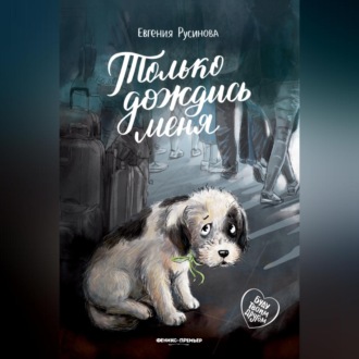 Обложка книги «Только дождись меня»