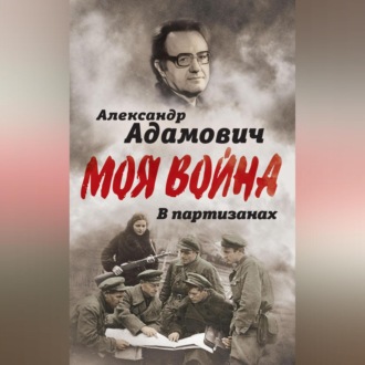 Обложка книги «В партизанах»