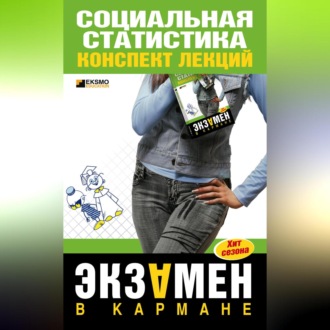 Обложка книги «Социальная статистика: конспект лекций»