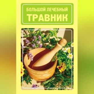 Обложка книги «Большой лечебный травник»